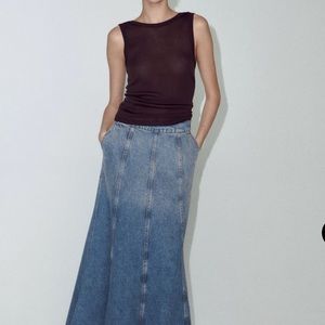 Zara Jean skirt.